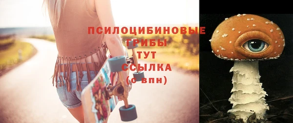 ешки Нижний Тагил