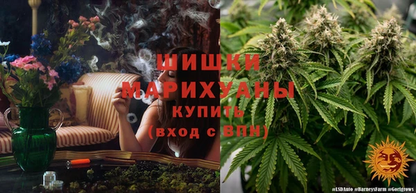 ешки Нижний Тагил