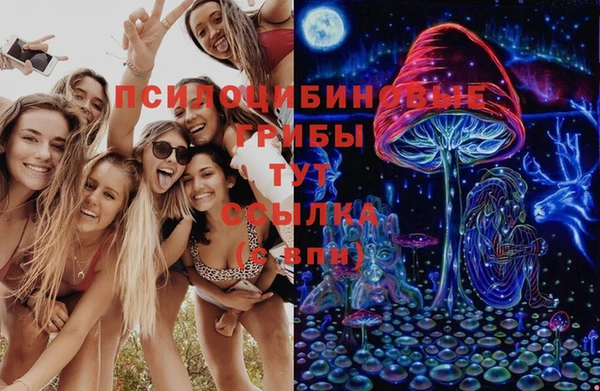 спайс Абаза