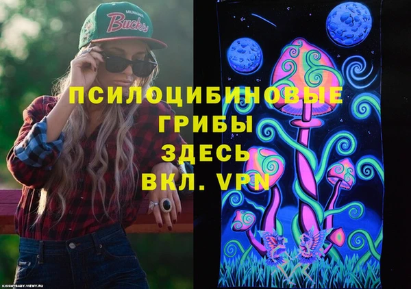 ешки Нижний Тагил
