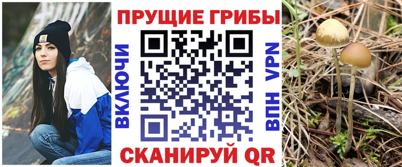 Псилоцибиновые грибы Magic Shrooms  продажа наркотиков  Котово 